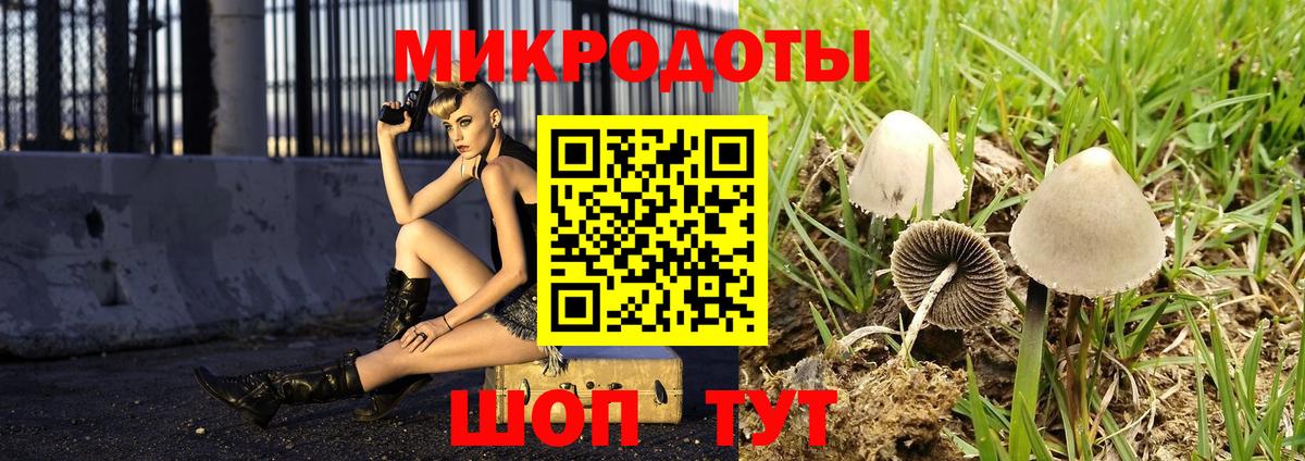 Галлюциногенные грибы мицелий Тайшет
