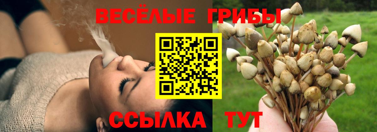 Псилоцибиновые грибы MAGIC MUSHROOMS  Вход с VPN  Тайшет 