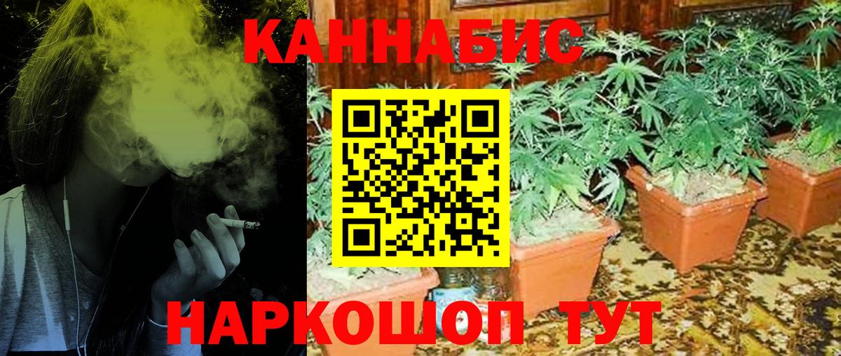 Каннабис план  Бошки Шишки марихуана  Канабис Bruce Banner  Вход с VPN  Тайшет  Каннабис Bruce Banner 